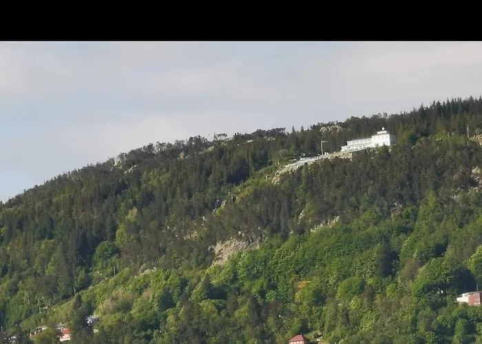 Spacious And Beautiful In With Free Parking *