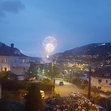 Leilighet Spacious And Beautiful In With Free Parking Bergen